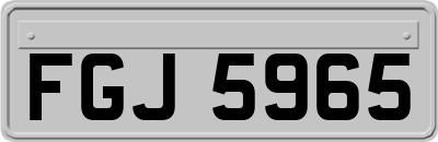 FGJ5965