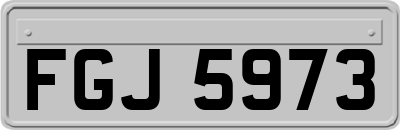 FGJ5973