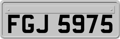 FGJ5975