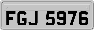 FGJ5976