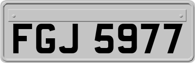 FGJ5977