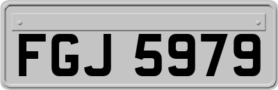 FGJ5979