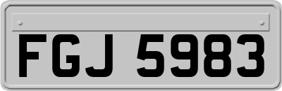FGJ5983