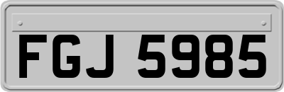FGJ5985