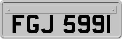 FGJ5991