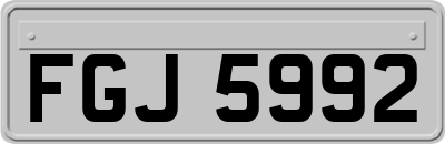 FGJ5992