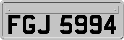 FGJ5994