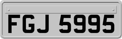 FGJ5995