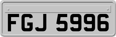 FGJ5996