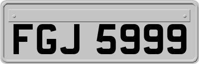 FGJ5999