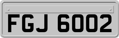 FGJ6002