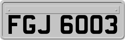 FGJ6003