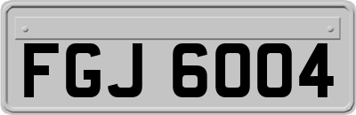 FGJ6004