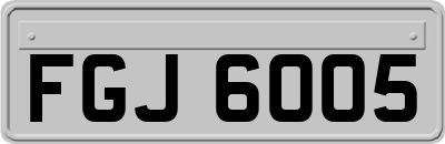 FGJ6005