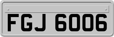FGJ6006
