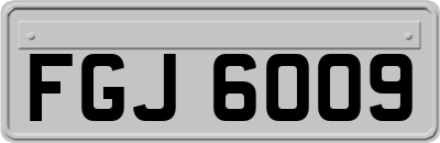 FGJ6009