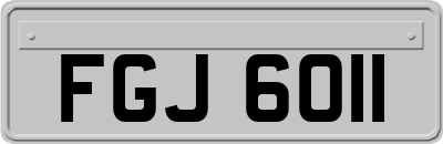 FGJ6011