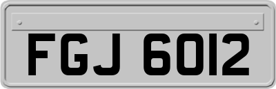 FGJ6012