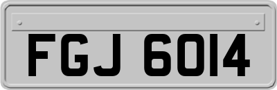 FGJ6014