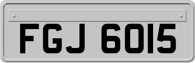 FGJ6015