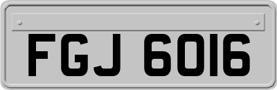 FGJ6016