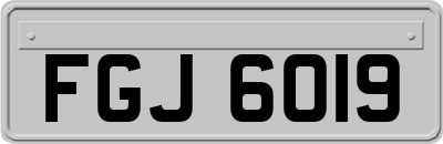 FGJ6019