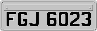 FGJ6023