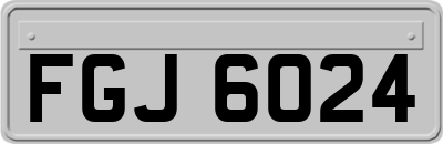 FGJ6024
