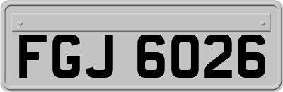 FGJ6026
