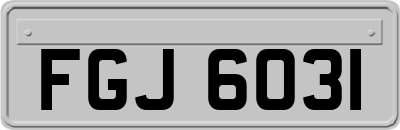 FGJ6031