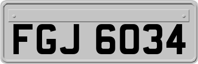 FGJ6034