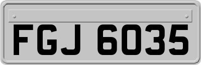 FGJ6035