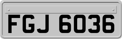 FGJ6036
