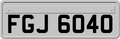 FGJ6040