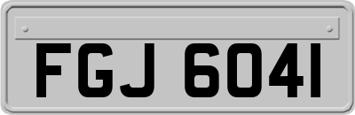 FGJ6041