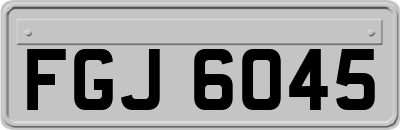 FGJ6045