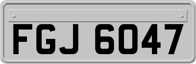 FGJ6047