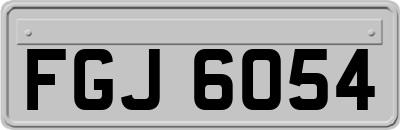 FGJ6054