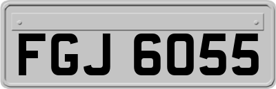 FGJ6055