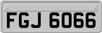 FGJ6066