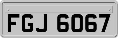 FGJ6067