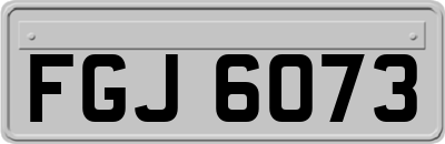 FGJ6073