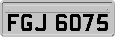 FGJ6075