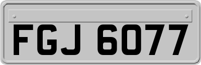FGJ6077