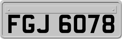 FGJ6078