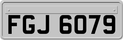 FGJ6079