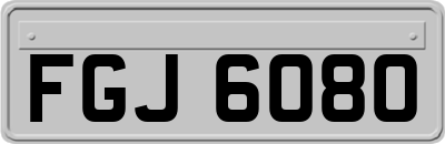FGJ6080