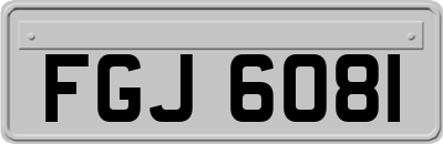 FGJ6081