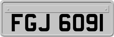 FGJ6091