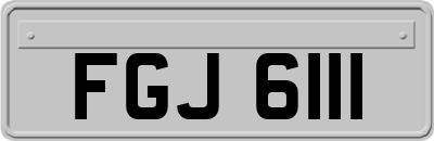 FGJ6111